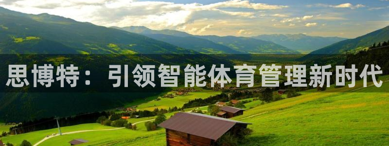 必一体育运动下载：思