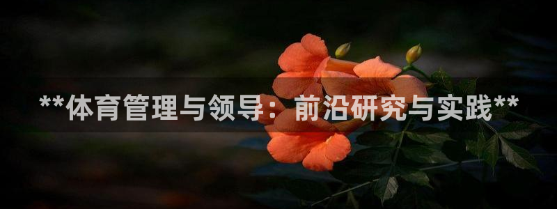 必一体育旧版：**体