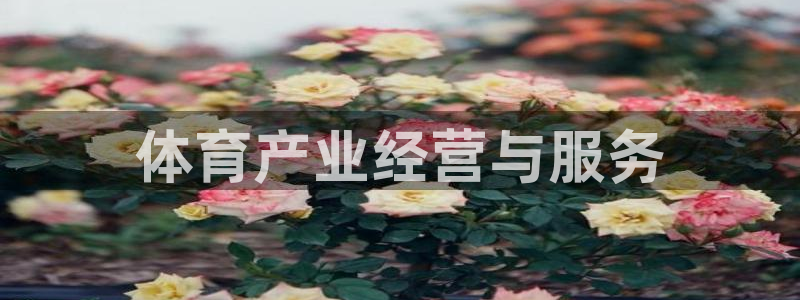 必一体育官网网址