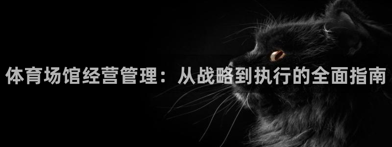 必一体育运动app：