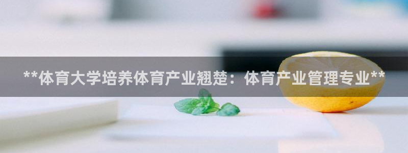 必一体育下载移动版：