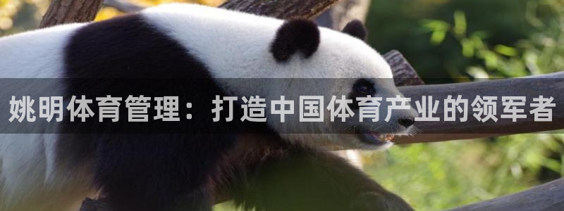 必一体育平台：姚明体