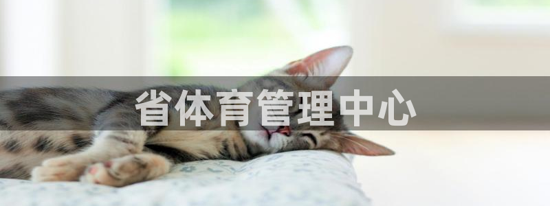 必一体育官方网站入口