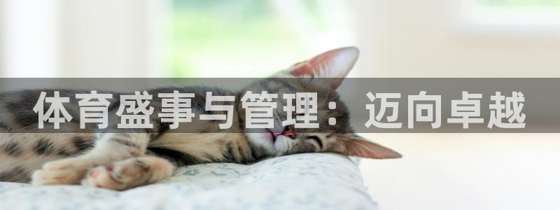 必一体育是哪里的台子