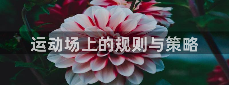 必一体育皮尔斯：运动