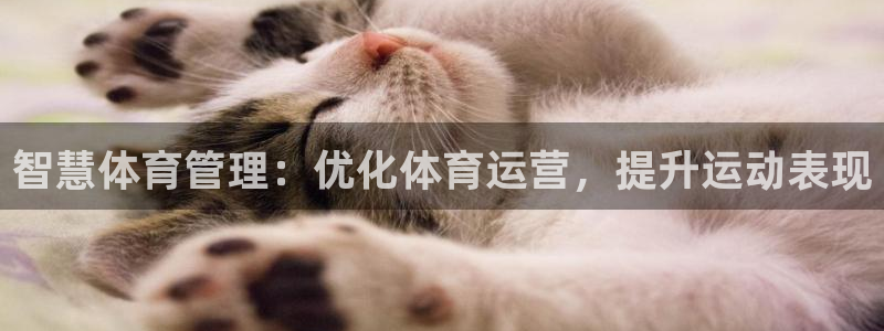 必一体育旧版：智慧体