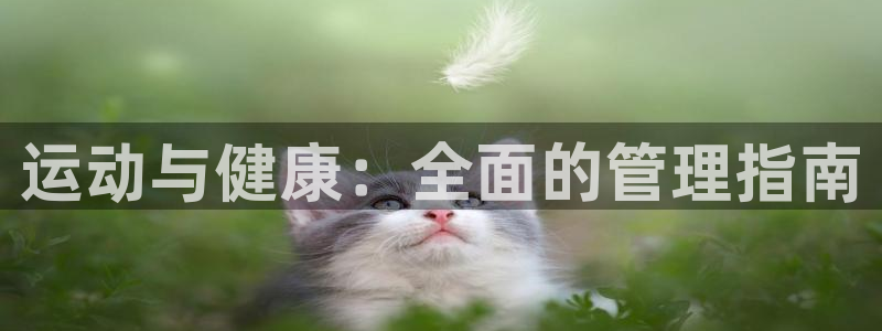 必一体育APP下载安