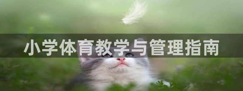 必一体育服下载最新版