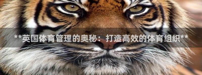 必一体育下载意思：*