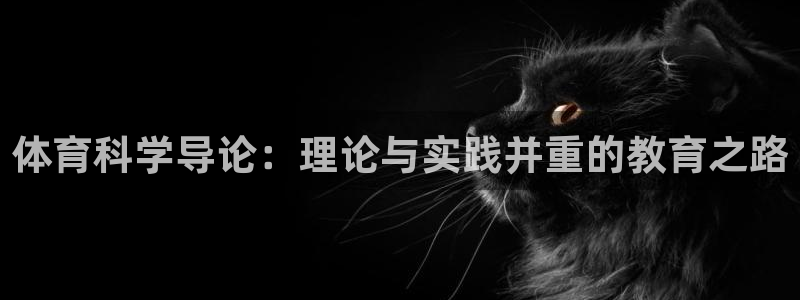 必一运动听的歌：体育