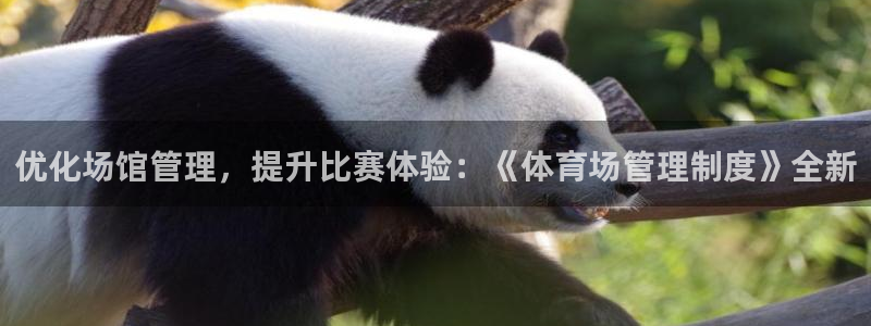 必一体育sport下