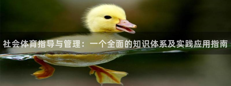 必一体育在线官网：社