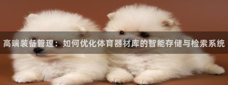 必一体育网站：高端装
