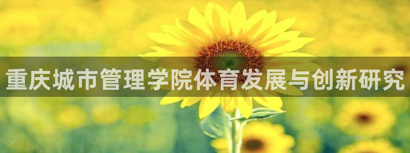 必一体育旧版：重庆城