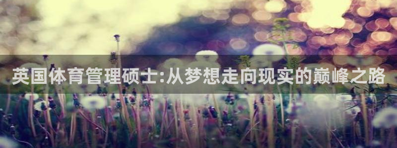 必一体育官方下载入口