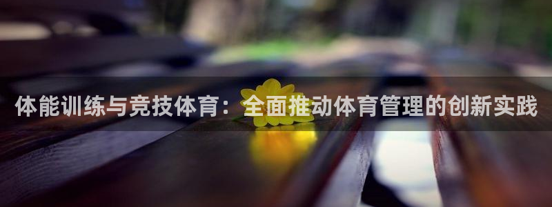 必一体育APP：体能