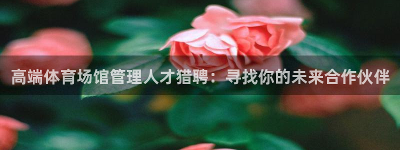 必一体育在线玩：高端