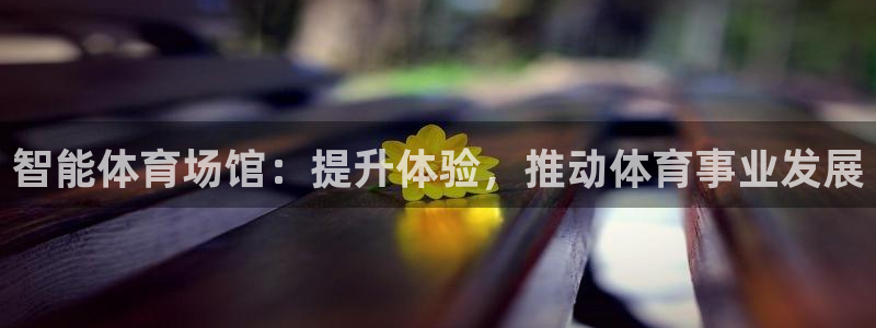 必一体育官方下载：智