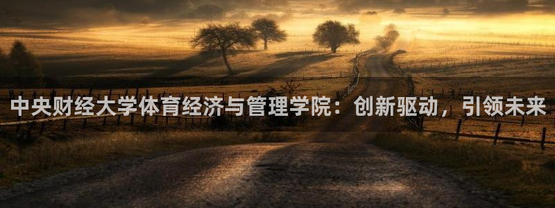 必一体育官方网站入口