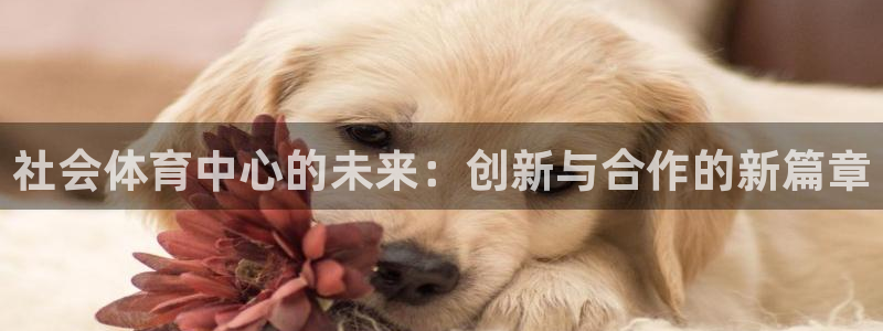 必一体育下载意思：社会体育中心的未来：创新与合作的新篇章