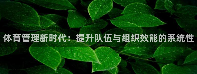 必一体育官网ios下