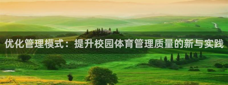必一体育下载义：优化