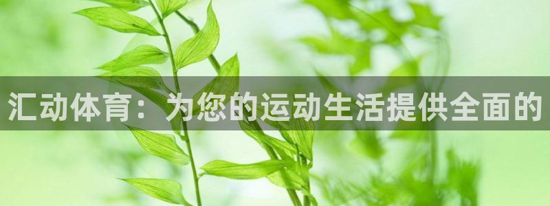 必一运动官网平台：汇