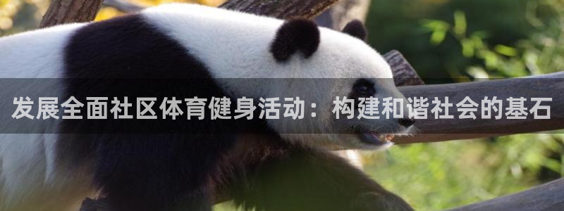 b体育必一下载：发展