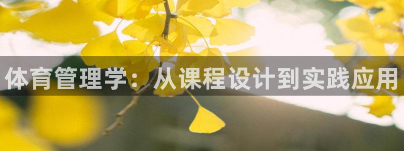 必一运动 b 体育素