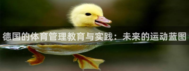 必一运动官网登录入口：德国的体育管理教育与实践：未来的运动蓝