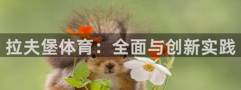 必一运动验证码：拉夫