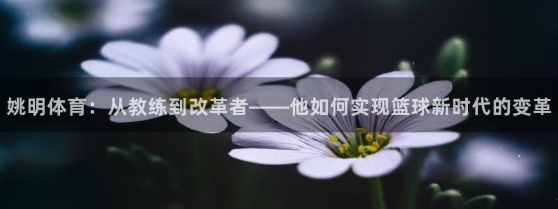 必一运动官网登录入口