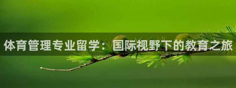 必一体育sport官网：体育管理专业留学：国际视野下的教育之