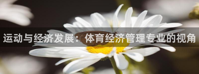 必一体育没了：运动与