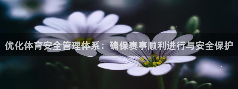必一体育官网ios下