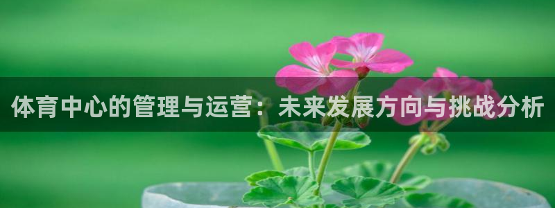 必一体育下载秀给网：