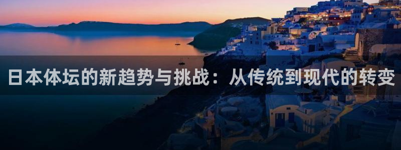 必一体育游戏玩法：日