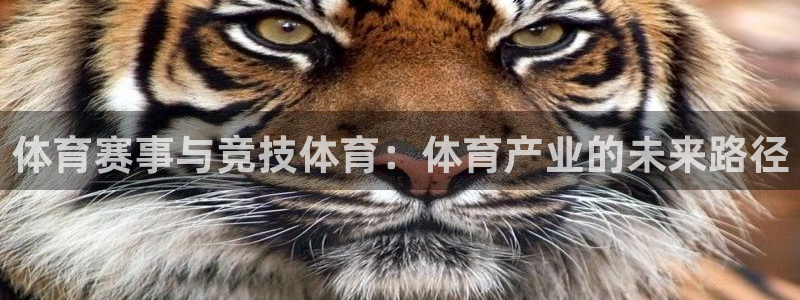 必一体育sport下载：体育赛事与竞技体育：体育产业的未来路