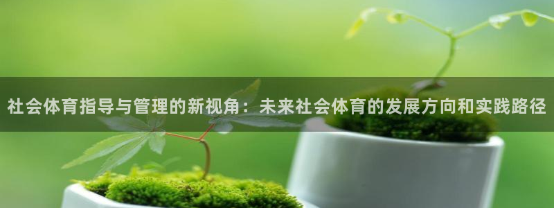 必一体育是哪里的台子