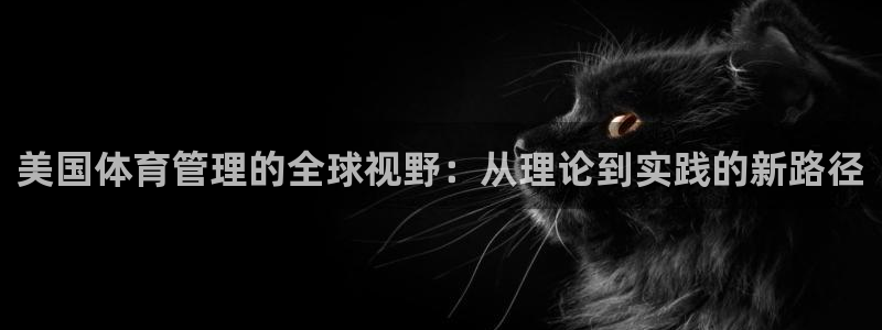 必一体育黑平台：美国体育管理的全球视野：从理论到实践的新路径