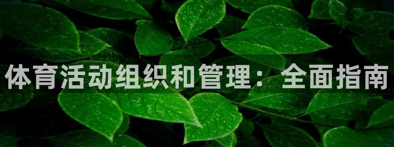 必一体育app官方下载入口