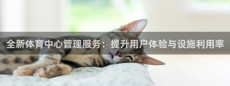 b体育官网下载入口app必一：全新体育中心管理服务：提升用户