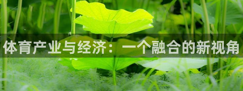 必一运动体育：体育产