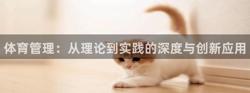 必一运动sport网页版：体育管理：从理论到实践的深度与创新