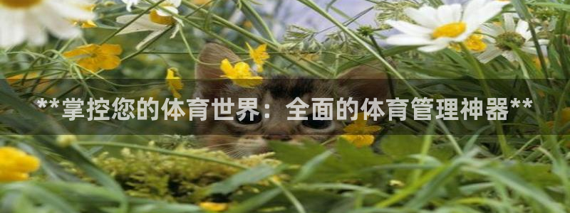 必一体育下载app下载