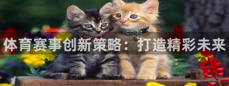 必一体育登录入口APP：体育赛事创新策略：打造精彩未来