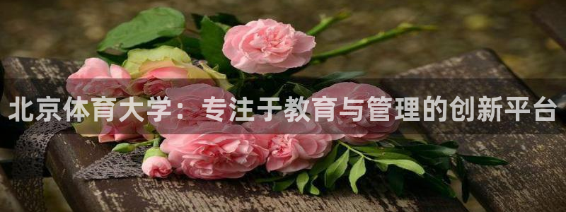 必一体育合法吗：北京