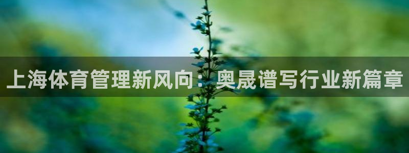 必一体育app官方下载