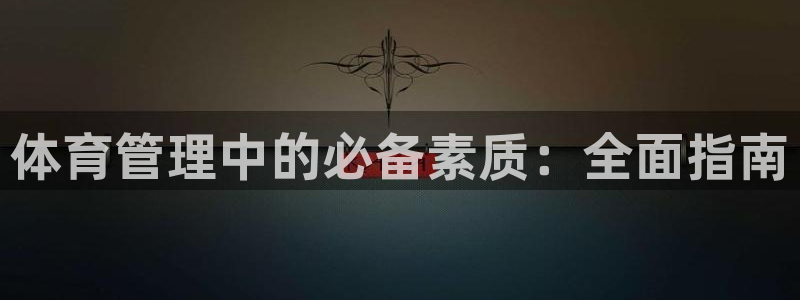 必十二和必一的副作用：体育管理中的必备素质：全面指南