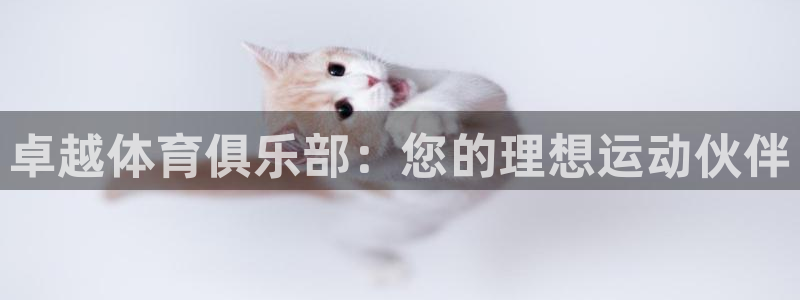 必一体育官方入口：卓